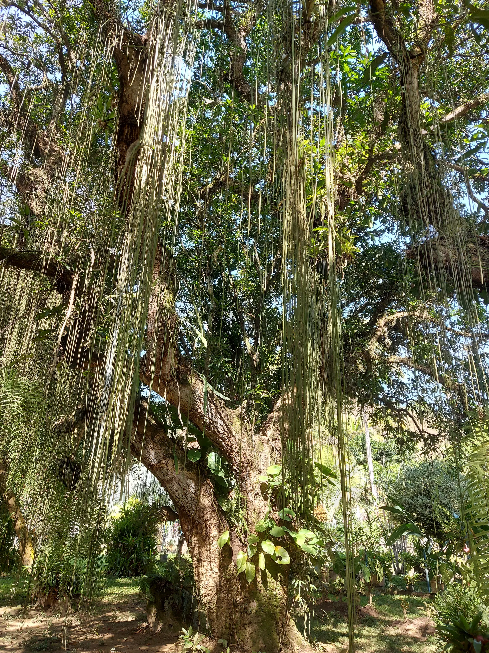 Fazenda à venda de 86 ha em Cantagalo, RJ, Brasil