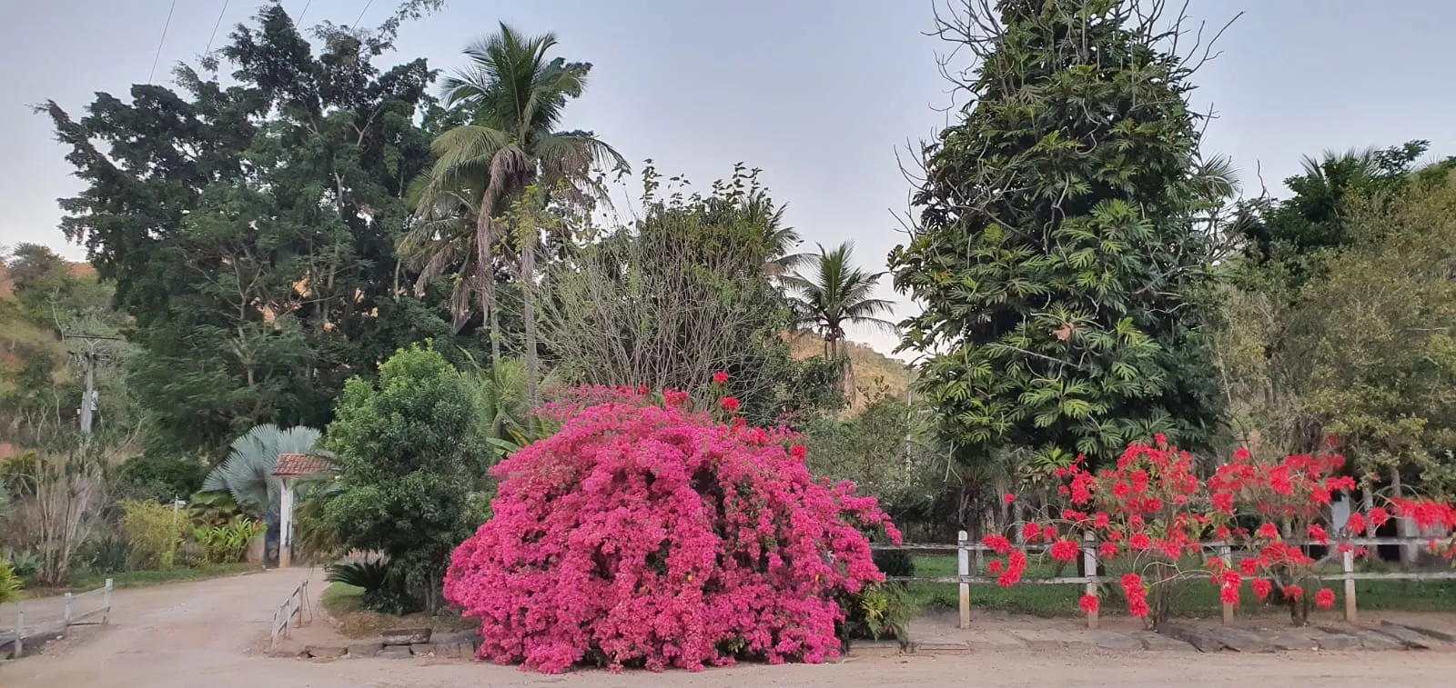 Fazenda à venda de 86 ha em Cantagalo, RJ, Brasil