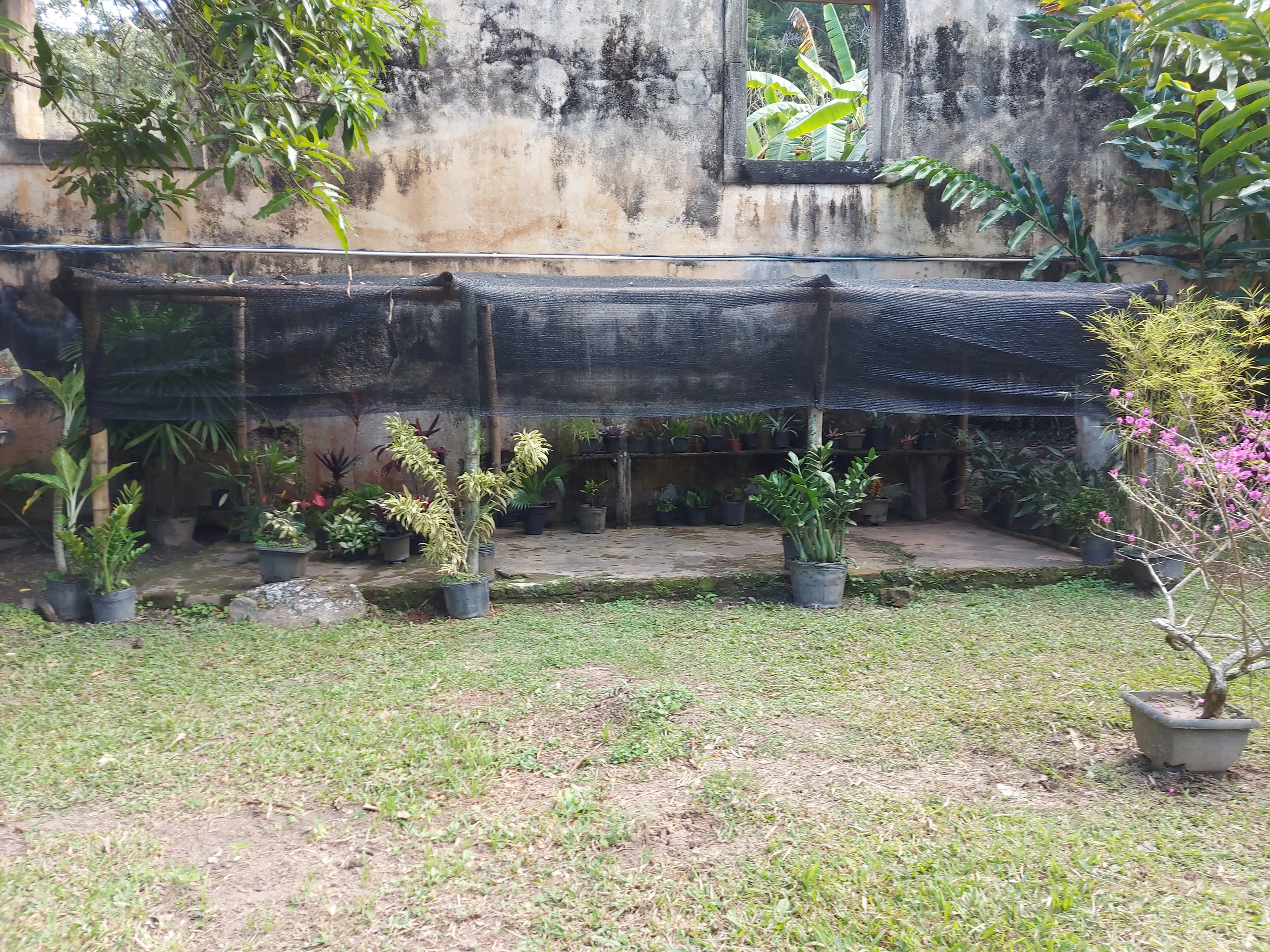 Fazenda à venda de 86 ha em Cantagalo, RJ, Brasil