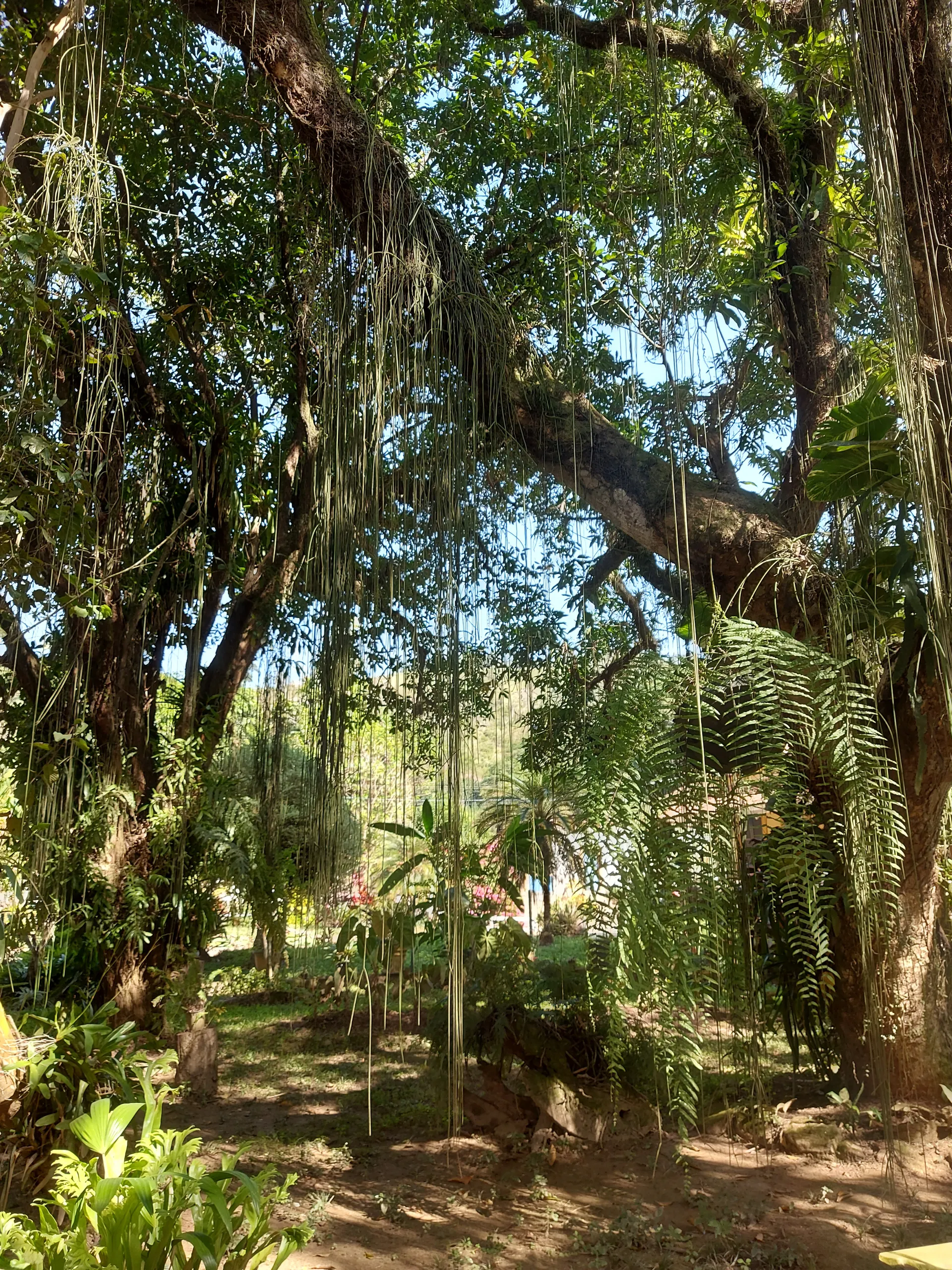 Fazenda à venda de 86 ha em Cantagalo, RJ, Brasil