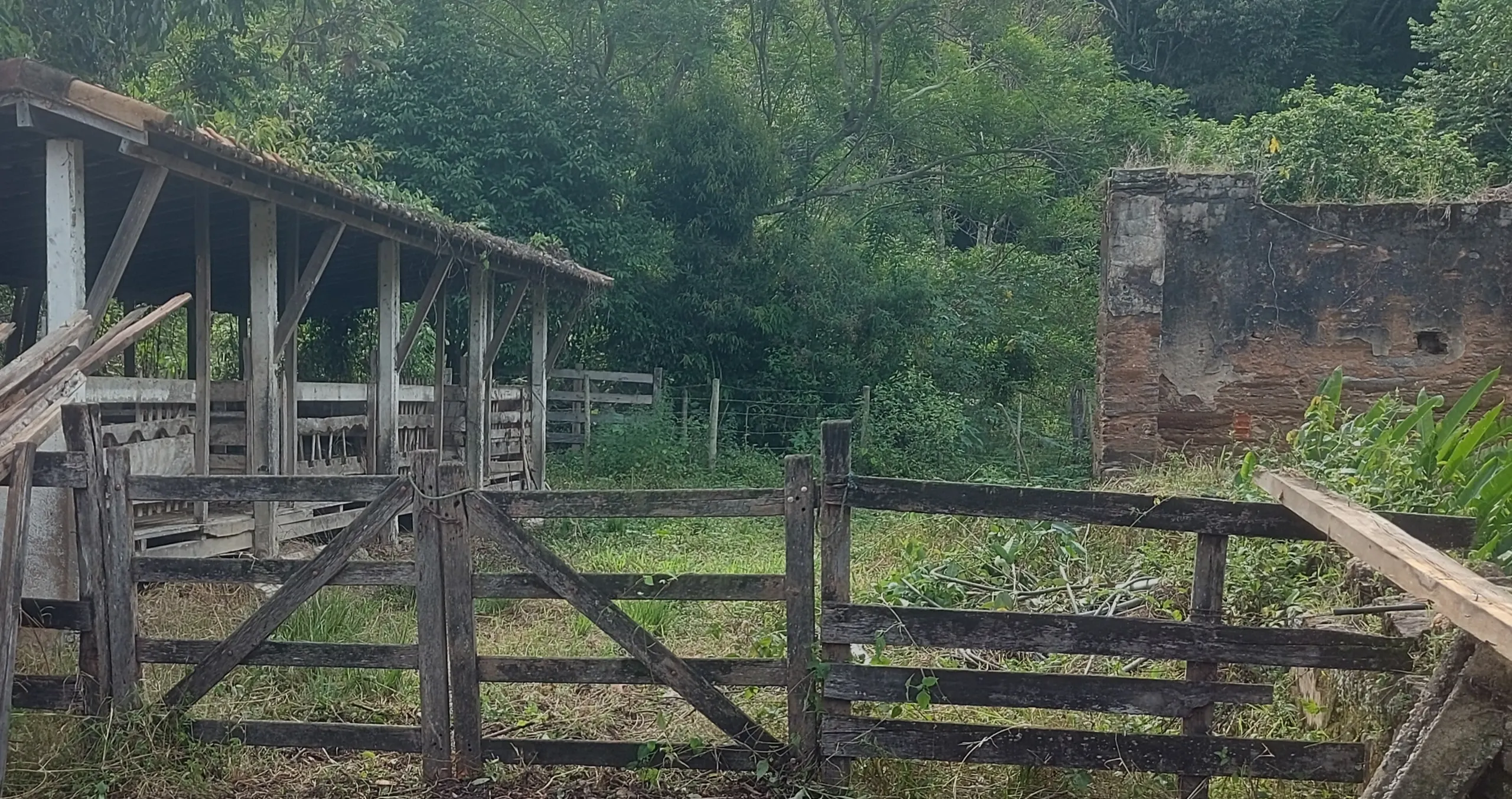 Fazenda à venda de 86 ha em Cantagalo, RJ, Brasil