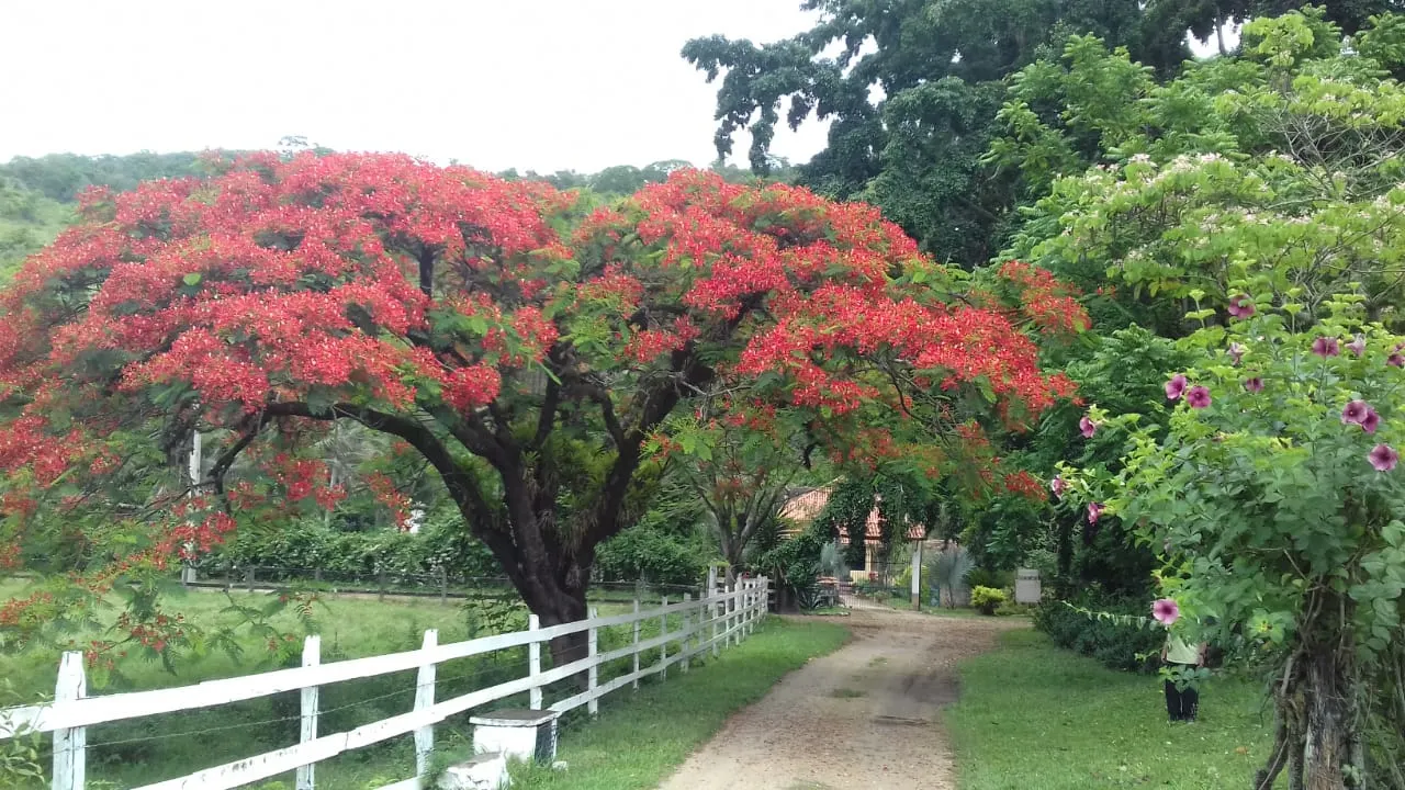 Fazenda à venda de 86 ha em Cantagalo, RJ, Brasil