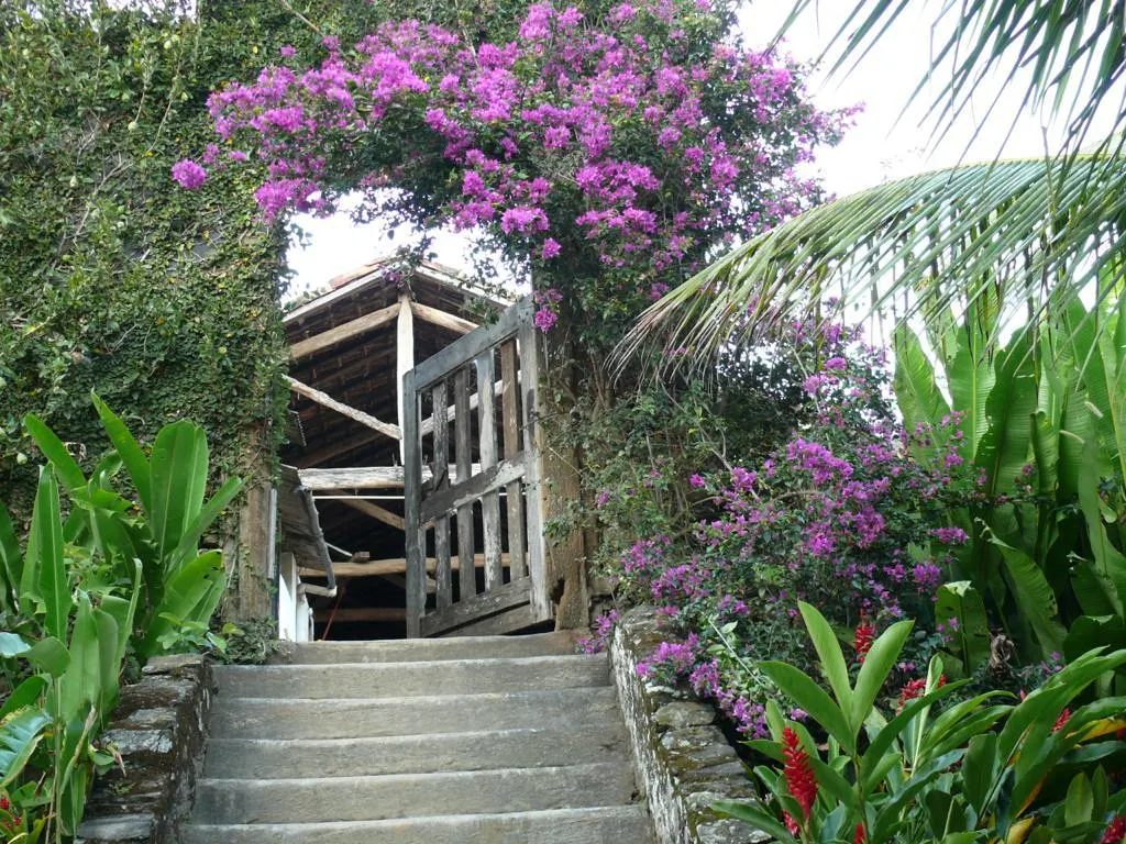 Fazenda à venda de 86 ha em Cantagalo, RJ, Brasil