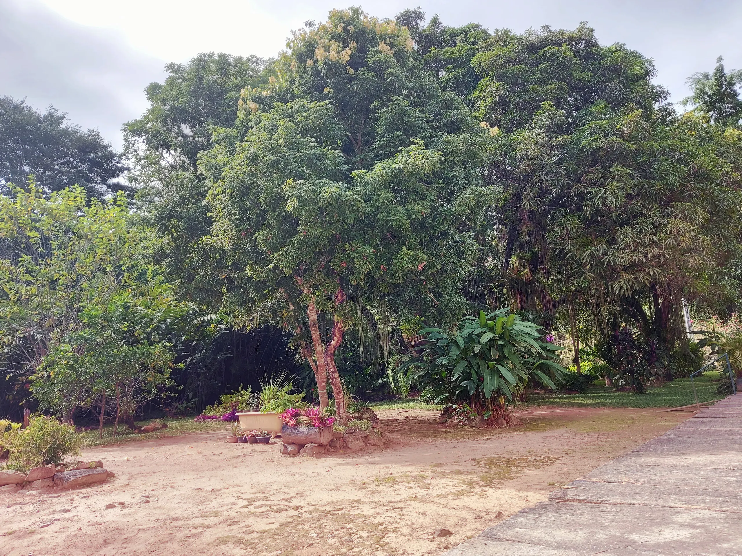 Fazenda à venda de 86 ha em Cantagalo, RJ, Brasil