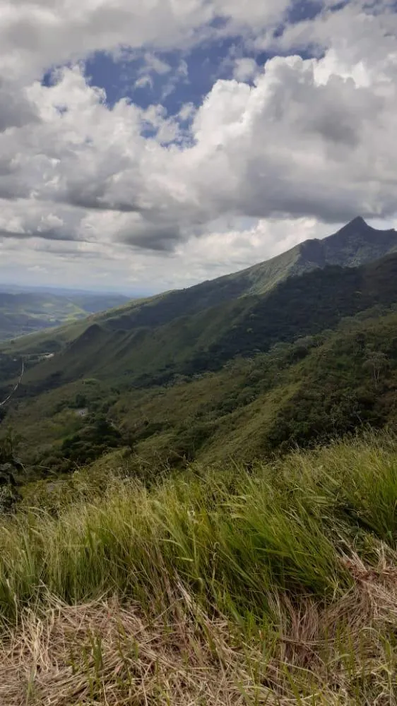 Fazenda à venda de 96 ha em Bananal, SP, Brasil