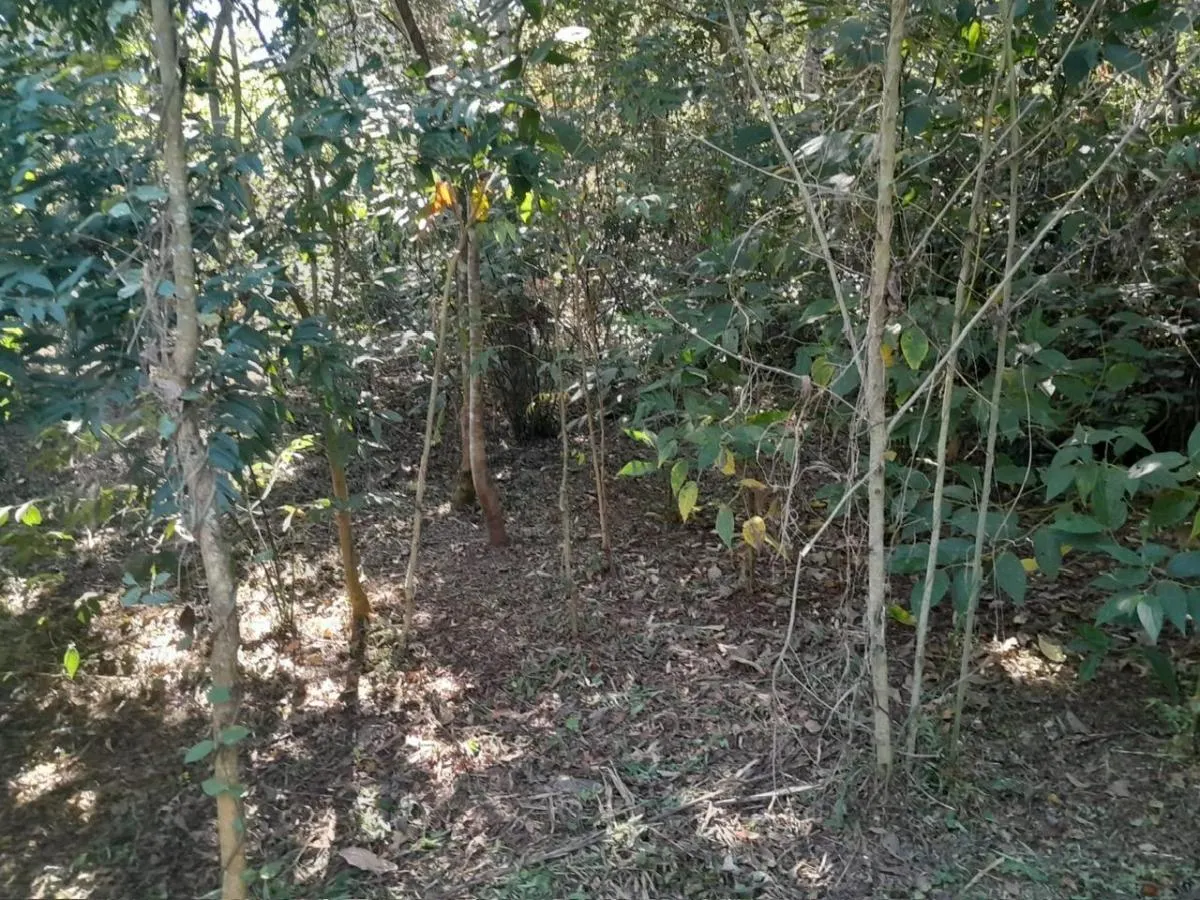 Fazenda à venda de 96 ha em Bananal, SP, Brasil