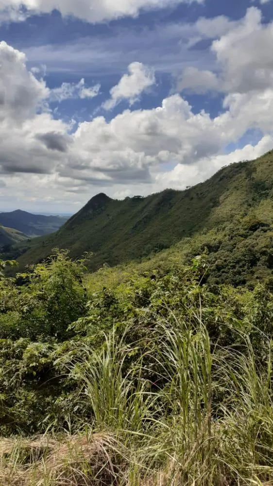 Fazenda à venda de 96 ha em Bananal, SP, Brasil