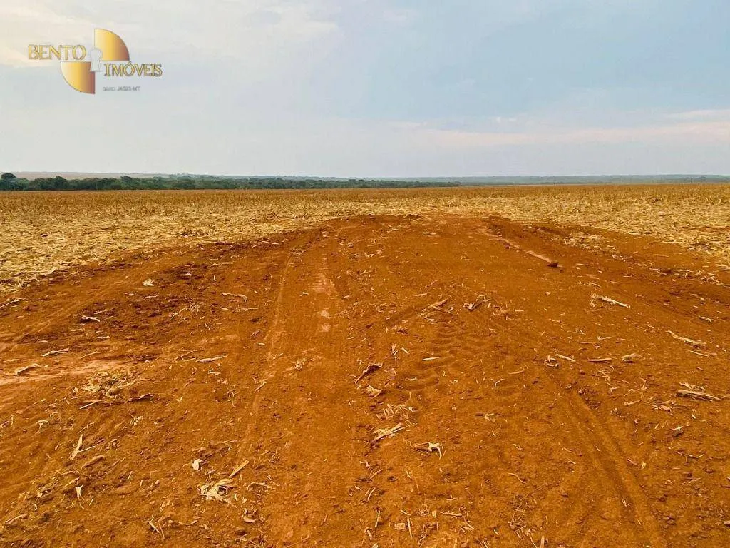 Fazenda à venda de 3.050 ha em Lucas do Rio Verde, MT, Brasil