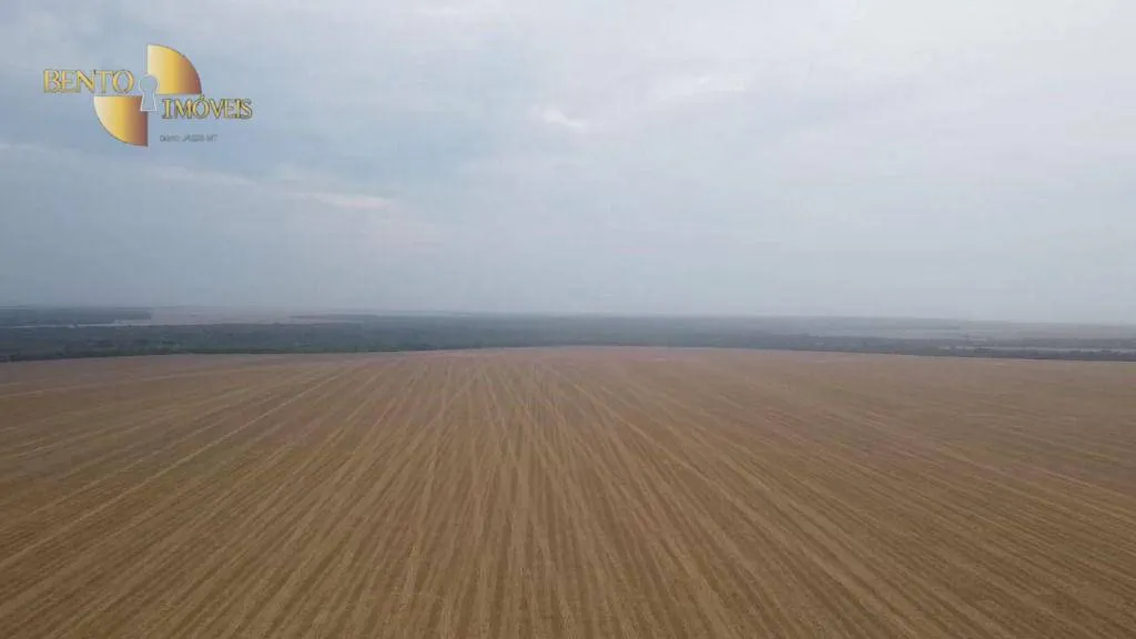 Fazenda à venda de 3.050 ha em Lucas do Rio Verde, MT, Brasil