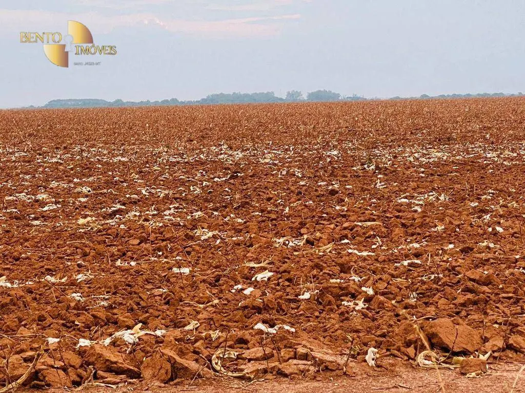Fazenda à venda de 3.050 ha em Lucas do Rio Verde, MT, Brasil