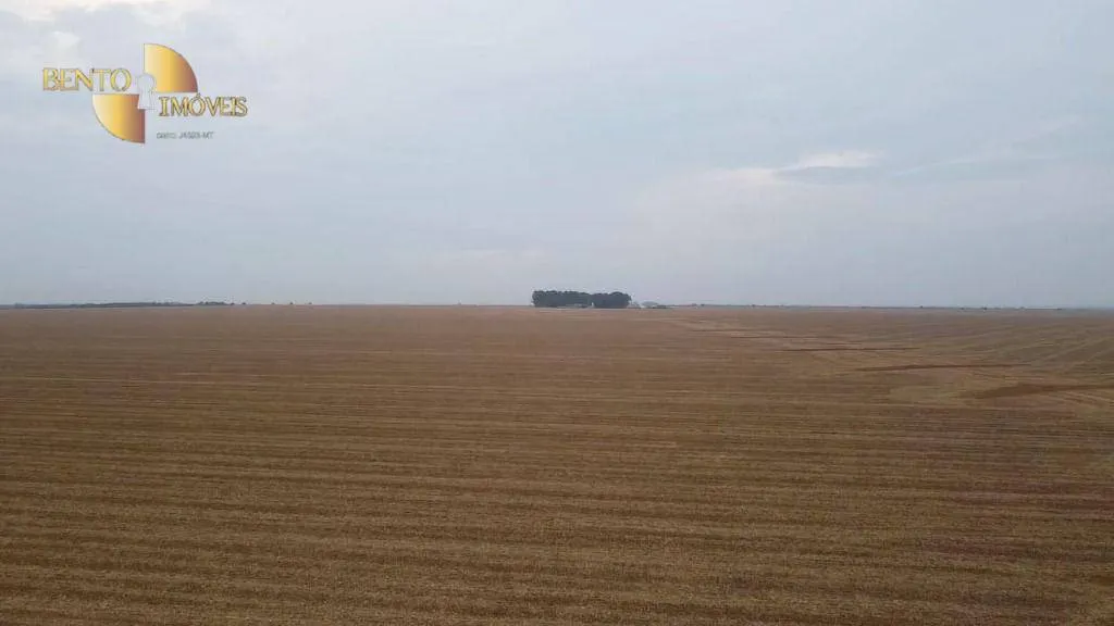 Fazenda à venda de 3.050 ha em Lucas do Rio Verde, MT, Brasil
