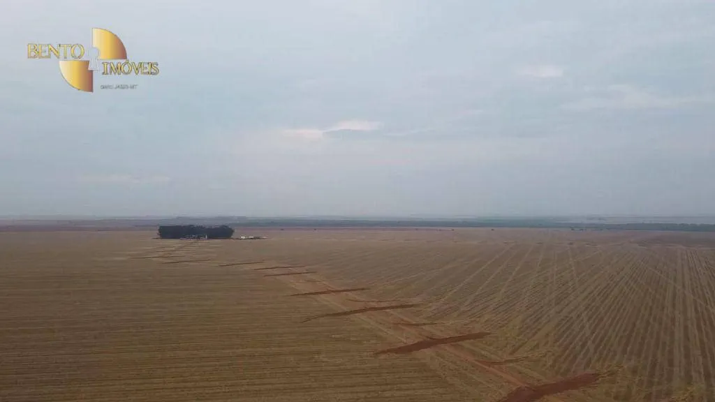 Fazenda à venda de 3.050 ha em Lucas do Rio Verde, MT, Brasil