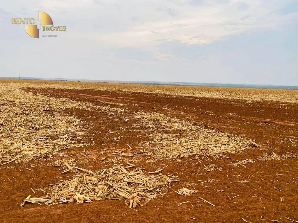 Fazenda à venda de 3.050 ha em Lucas do Rio Verde, MT, Brasil