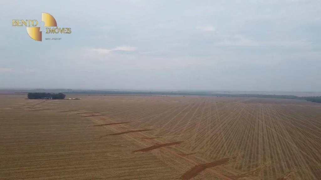 Fazenda à venda de 3.050 ha em Lucas do Rio Verde, MT, Brasil