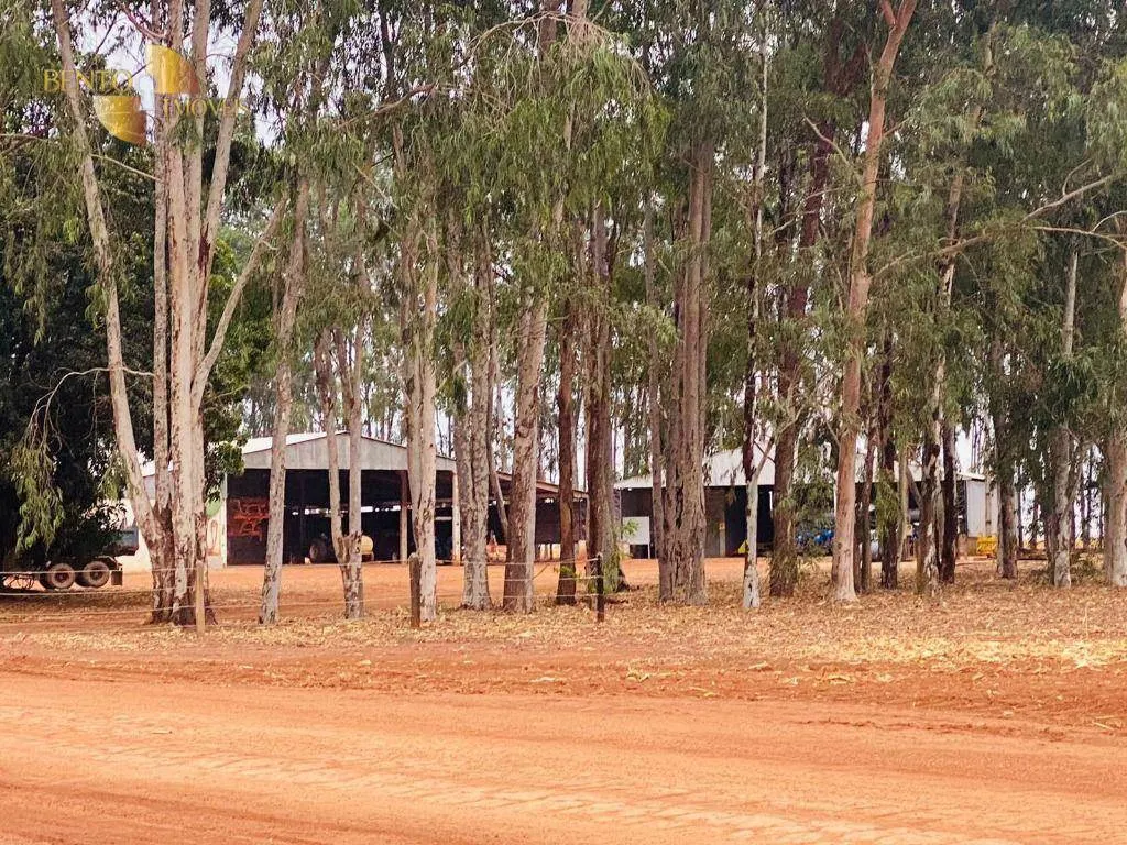 Fazenda à venda de 3.050 ha em Lucas do Rio Verde, MT, Brasil
