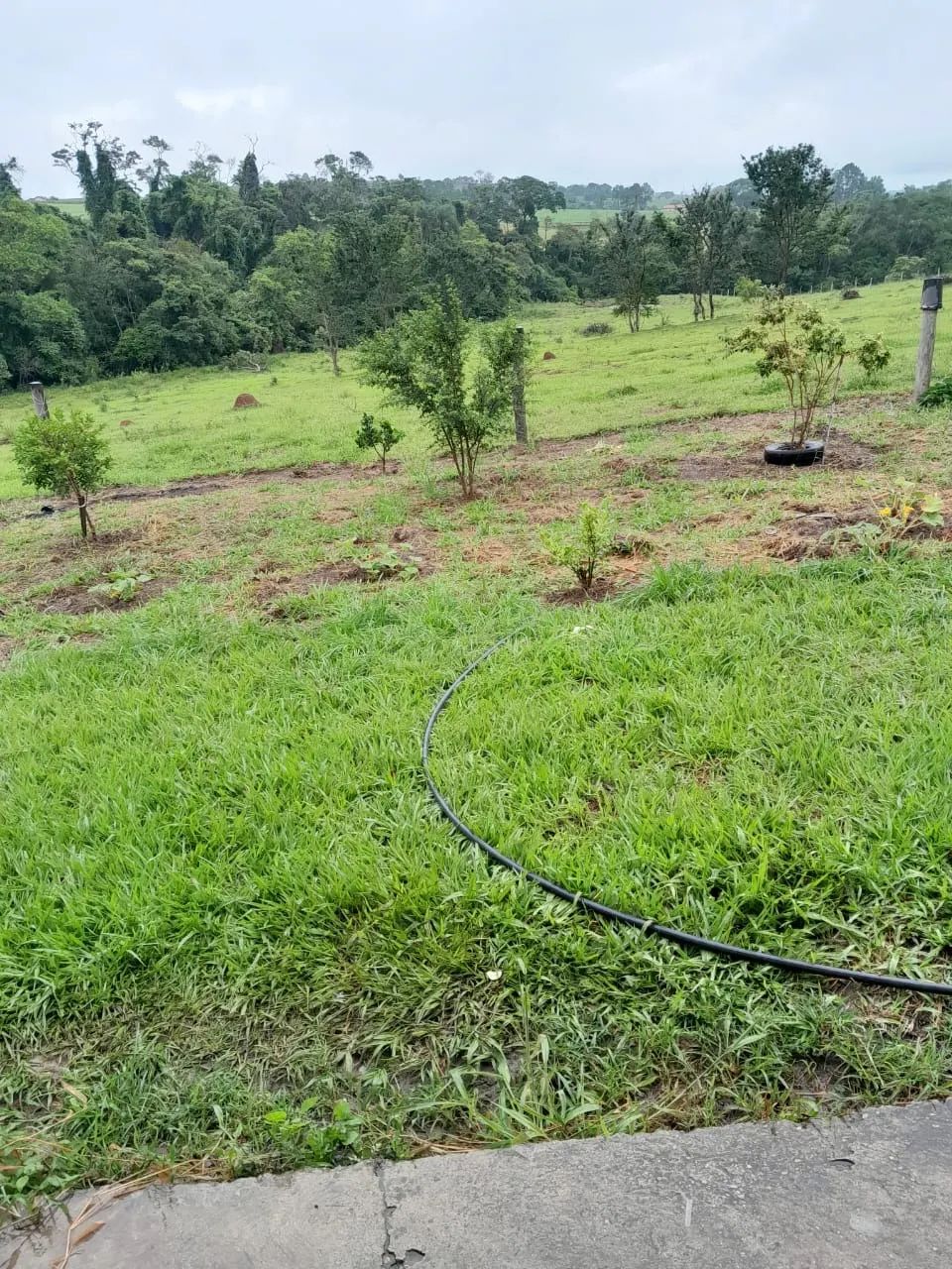 Fazenda à venda de 4 ha em Itapetininga, SP, Brasil