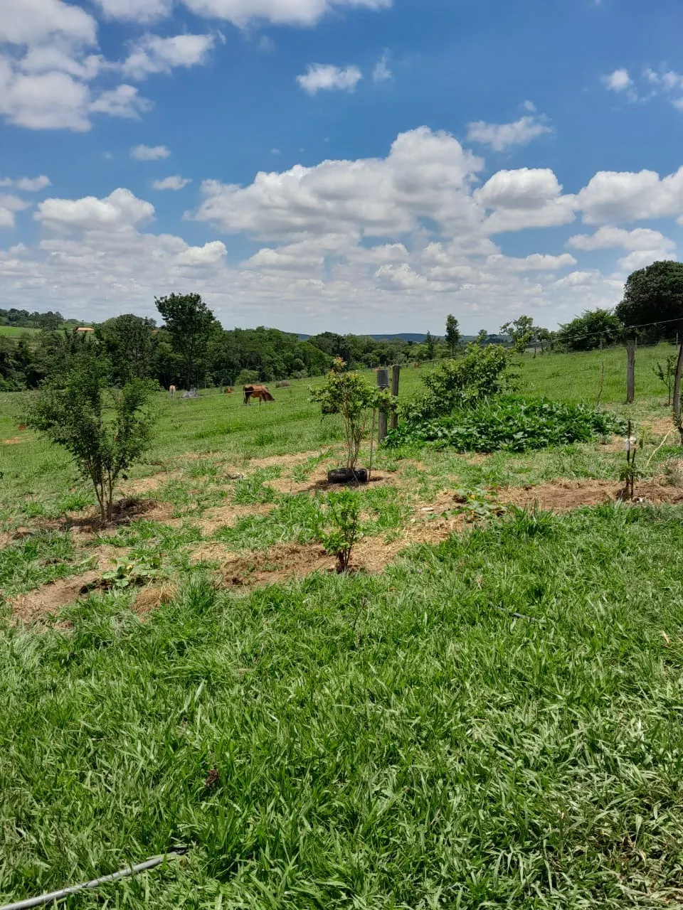 Fazenda à venda de 4 ha em Itapetininga, SP, Brasil