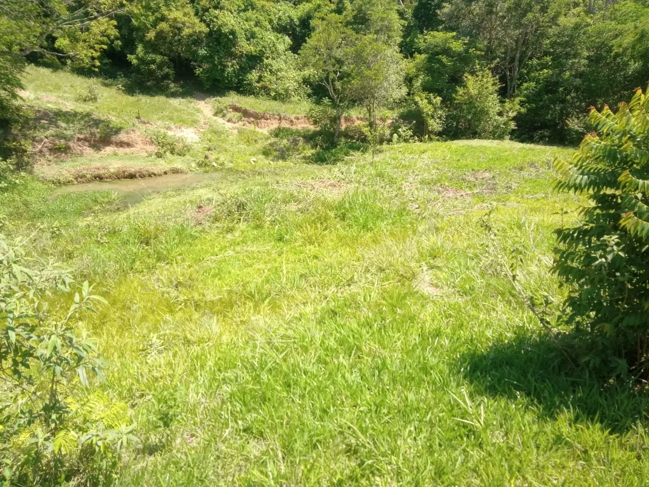 Fazenda à venda de 4 ha em Itapetininga, SP, Brasil