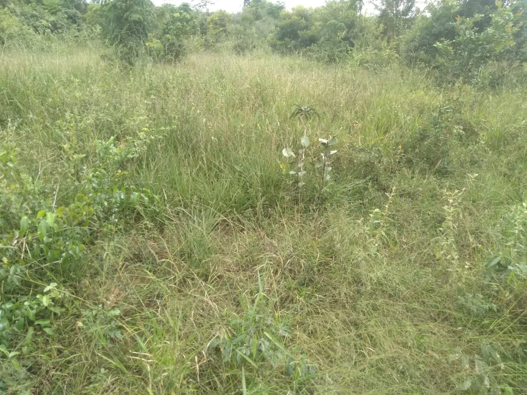 Fazenda à venda de 1.800 ha em Pedra Azul, MG, Brasil