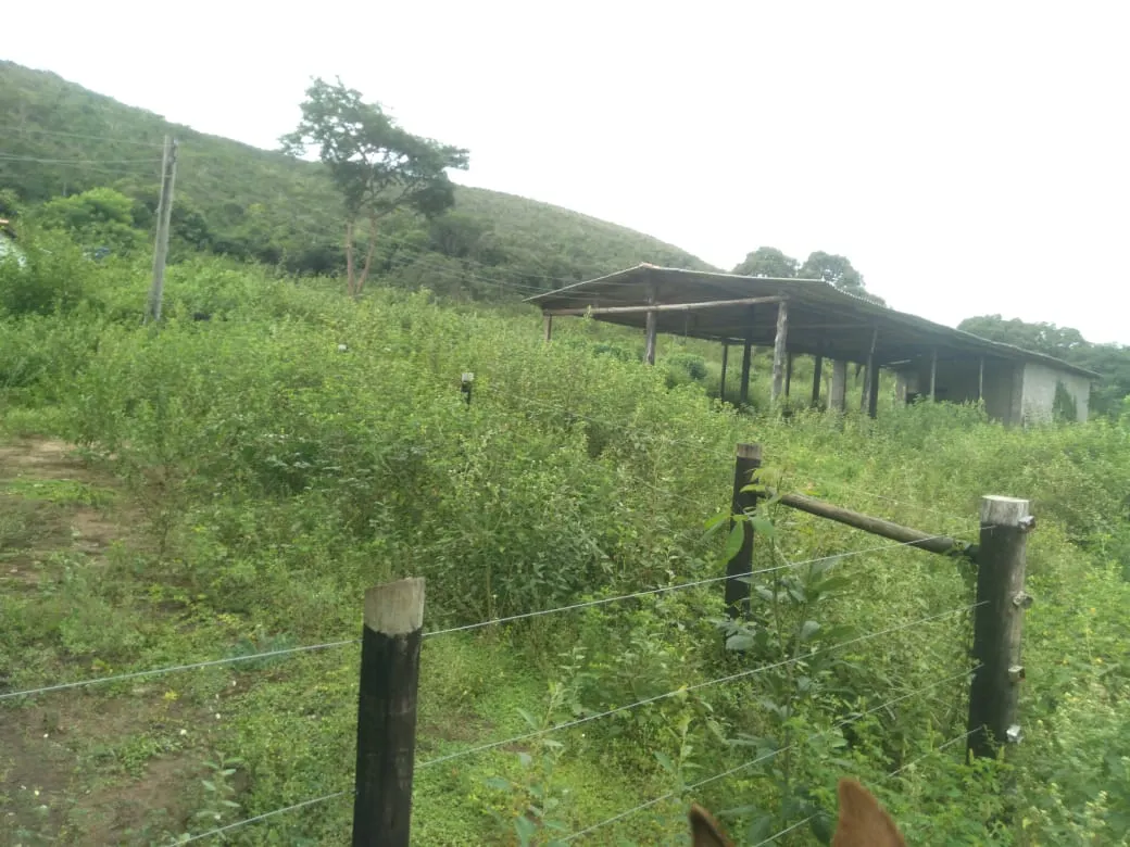 Fazenda à venda de 1.800 ha em Pedra Azul, MG, Brasil