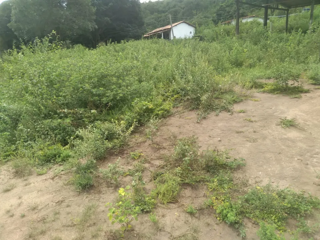 Fazenda à venda de 1.800 ha em Pedra Azul, MG, Brasil