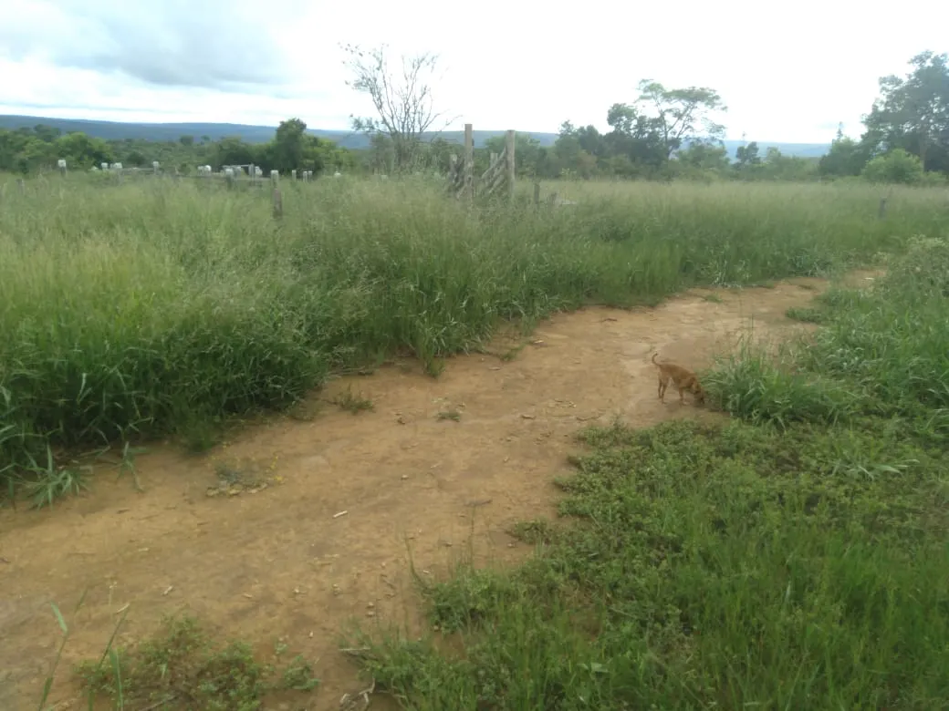 Fazenda à venda de 1.800 ha em Pedra Azul, MG, Brasil