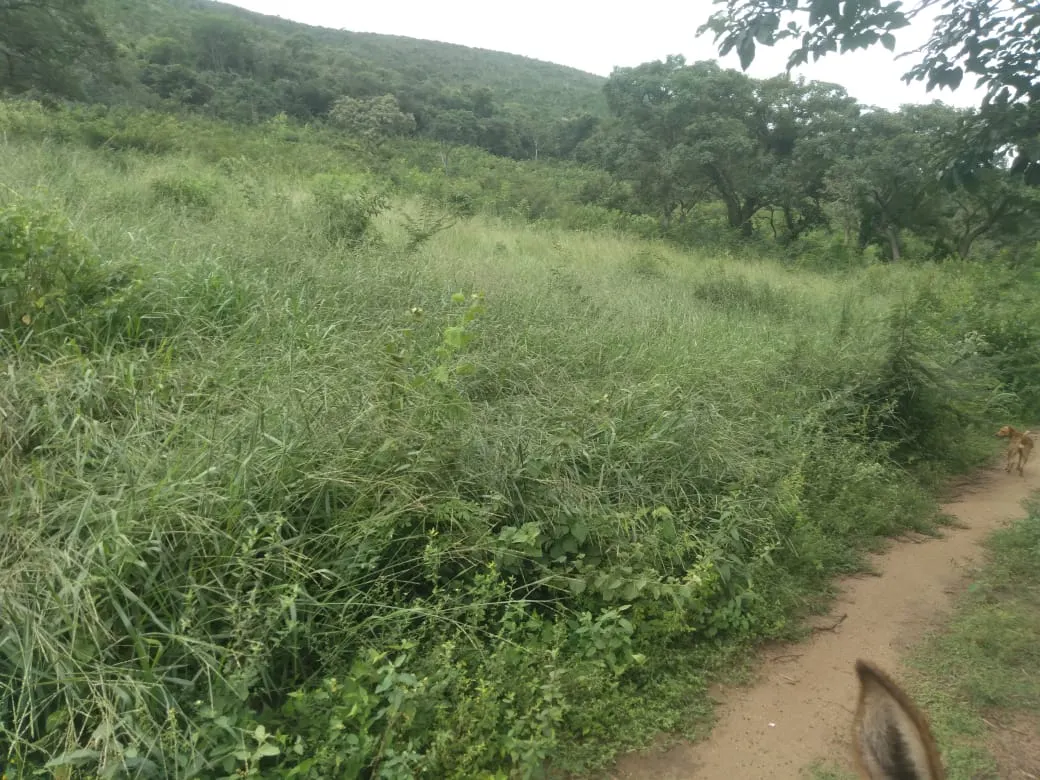Fazenda à venda de 1.800 ha em Pedra Azul, MG, Brasil