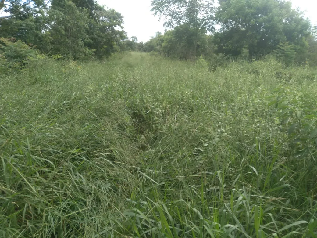 Fazenda à venda de 1.800 ha em Pedra Azul, MG, Brasil