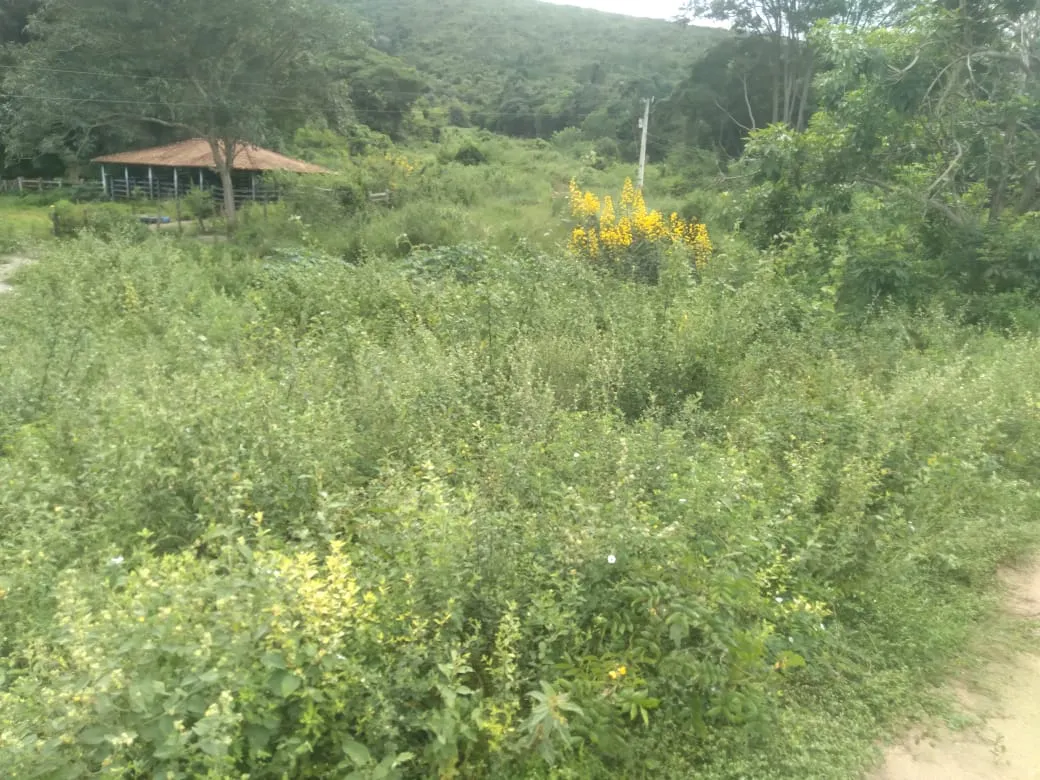 Fazenda à venda de 1.800 ha em Pedra Azul, MG, Brasil