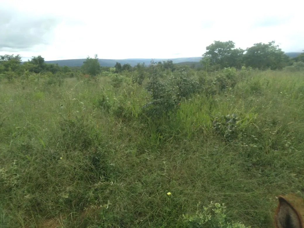 Fazenda à venda de 1.800 ha em Pedra Azul, MG, Brasil