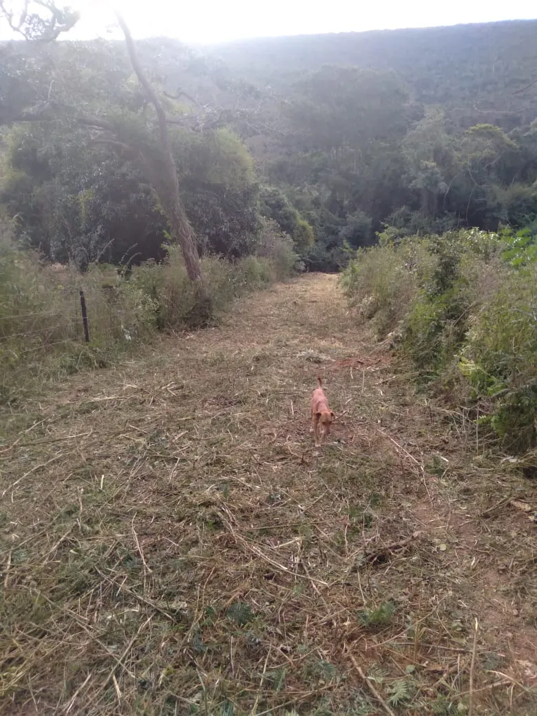 Fazenda à venda de 1.800 ha em Pedra Azul, MG, Brasil