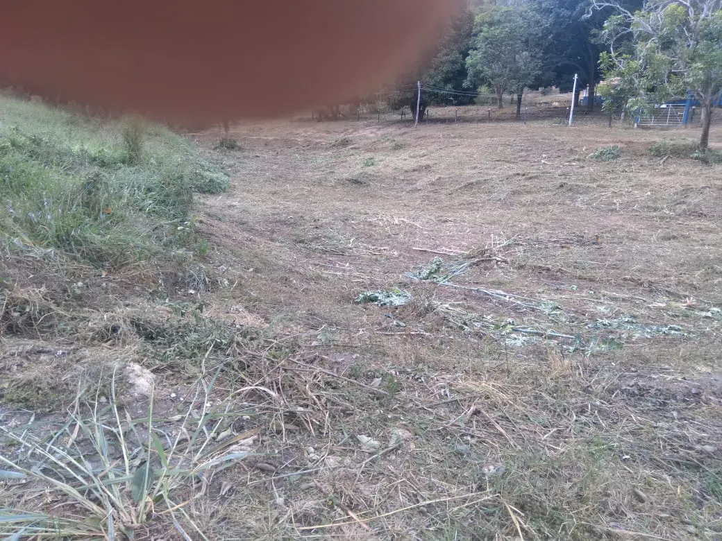 Fazenda à venda de 1.800 ha em Pedra Azul, MG, Brasil