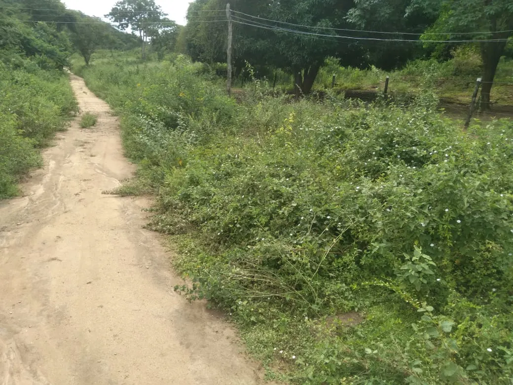 Fazenda à venda de 1.800 ha em Pedra Azul, MG, Brasil
