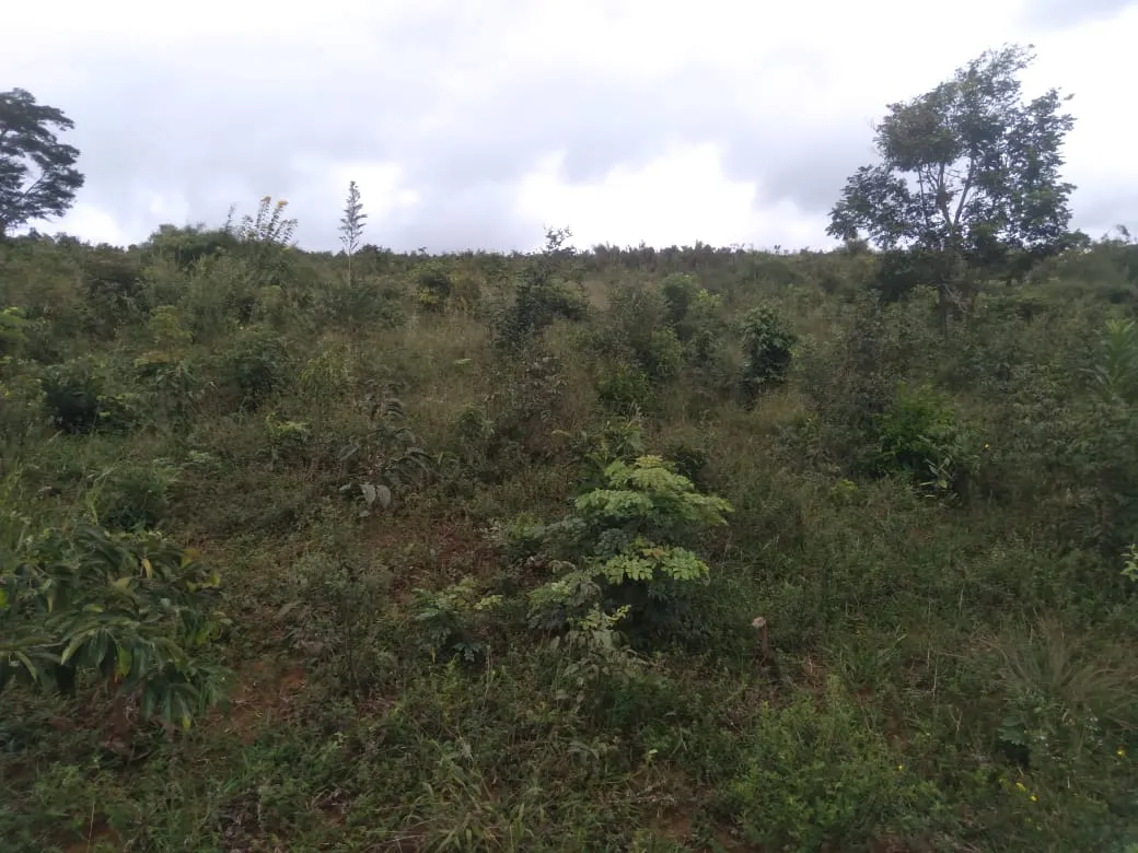 Fazenda à venda de 1.800 ha em Pedra Azul, MG, Brasil