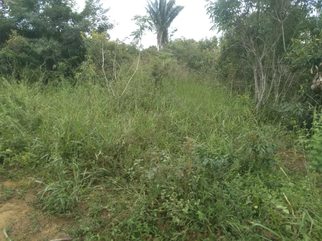 Fazenda à venda de 1.800 ha em Pedra Azul, MG, Brasil