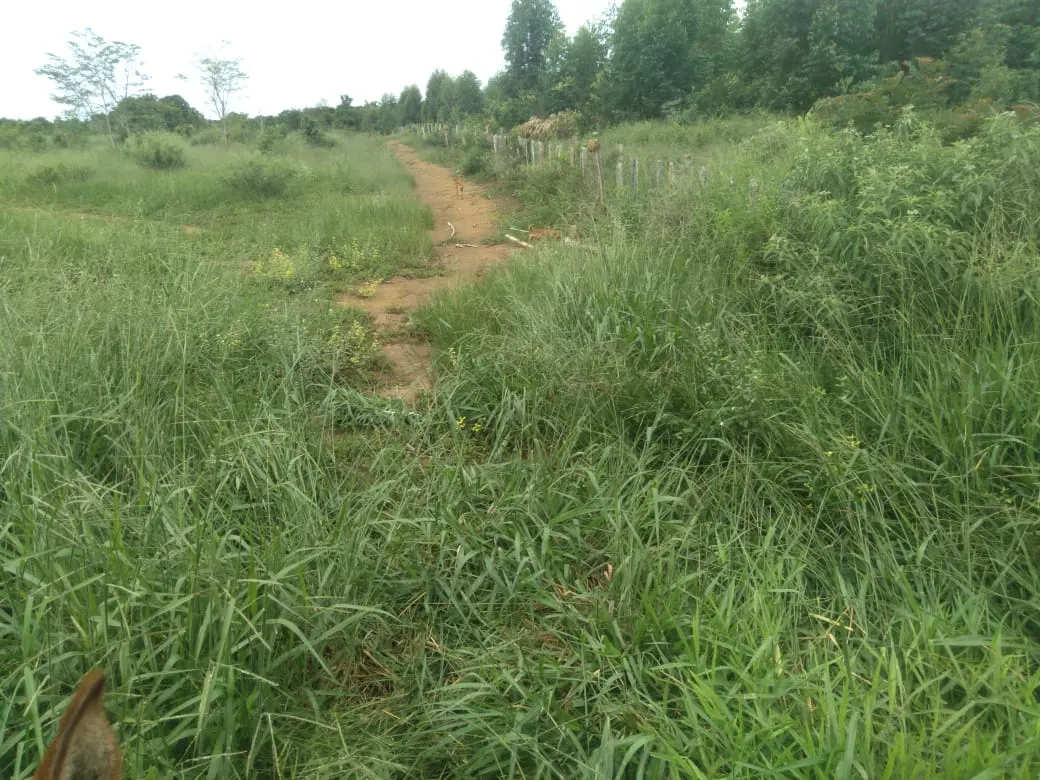 Fazenda à venda de 1.800 ha em Pedra Azul, MG, Brasil