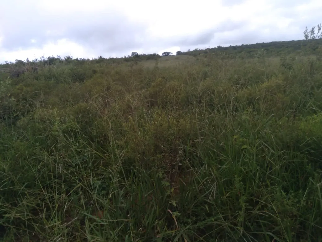 Fazenda à venda de 1.800 ha em Pedra Azul, MG, Brasil