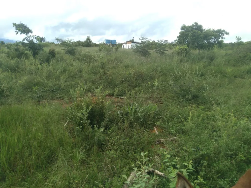 Fazenda à venda de 1.800 ha em Pedra Azul, MG, Brasil