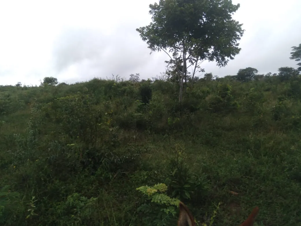 Fazenda à venda de 1.800 ha em Pedra Azul, MG, Brasil