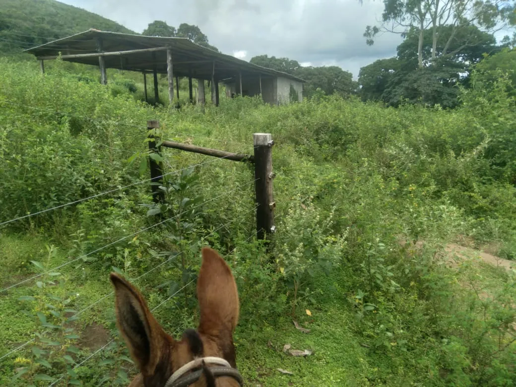 Fazenda à venda de 1.800 ha em Pedra Azul, MG, Brasil