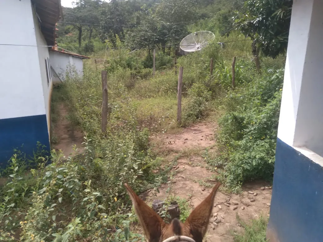 Fazenda à venda de 1.800 ha em Pedra Azul, MG, Brasil