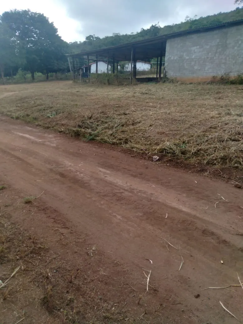 Fazenda à venda de 1.800 ha em Pedra Azul, MG, Brasil