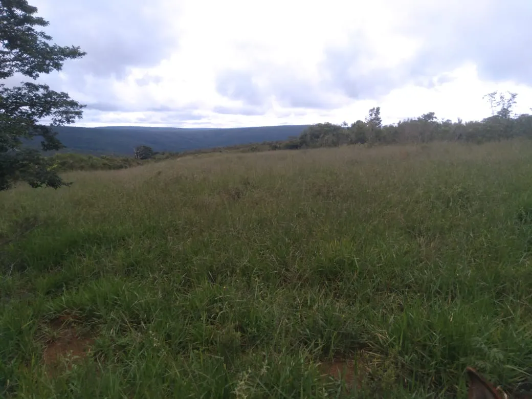 Fazenda à venda de 1.800 ha em Pedra Azul, MG, Brasil