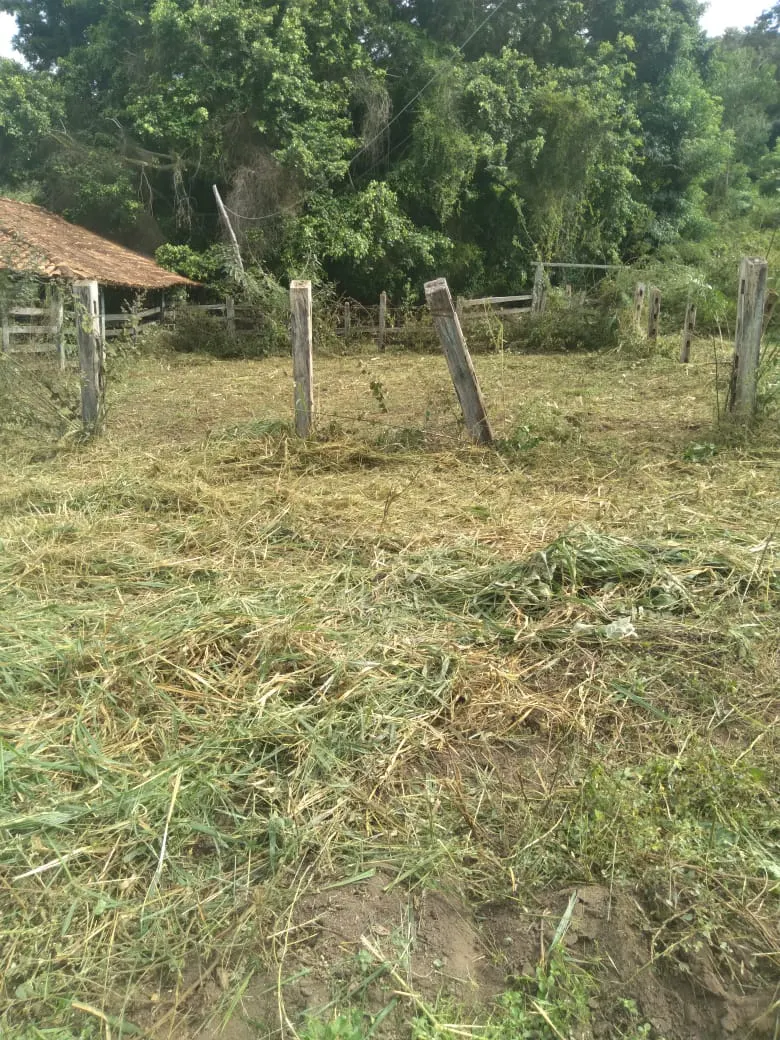 Fazenda à venda de 1.800 ha em Pedra Azul, MG, Brasil
