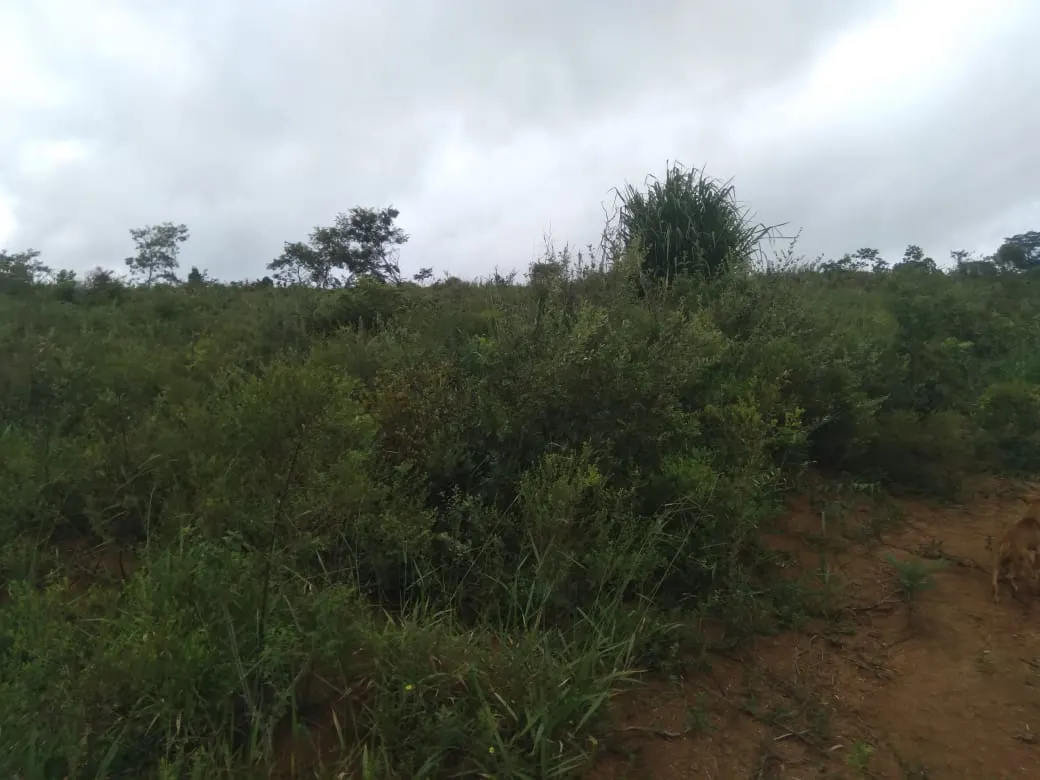 Fazenda à venda de 1.800 ha em Pedra Azul, MG, Brasil