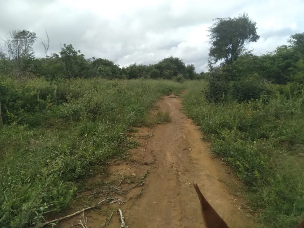Fazenda à venda de 1.800 ha em Pedra Azul, MG, Brasil