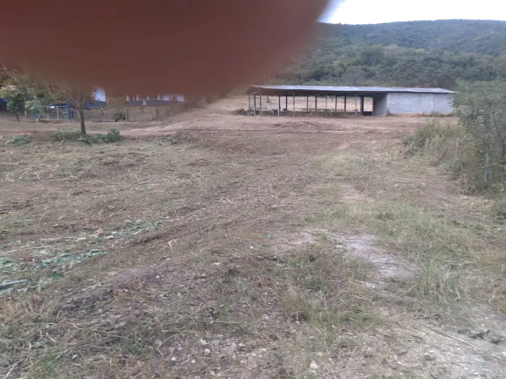 Fazenda à venda de 1.800 ha em Pedra Azul, MG, Brasil