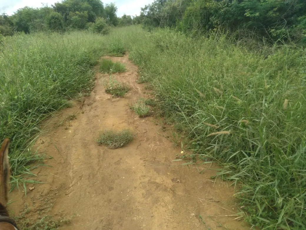 Fazenda à venda de 1.800 ha em Pedra Azul, MG, Brasil