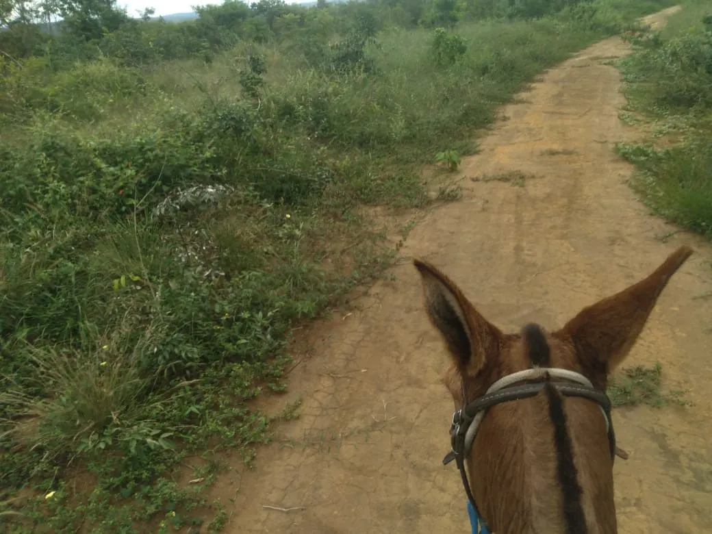 Fazenda à venda de 1.800 ha em Pedra Azul, MG, Brasil