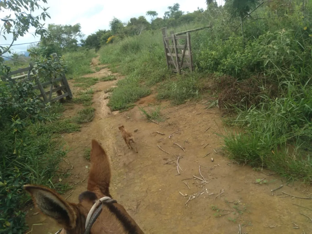 Fazenda à venda de 1.800 ha em Pedra Azul, MG, Brasil